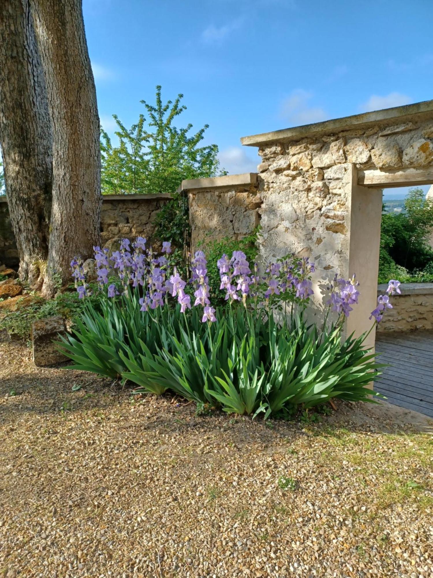 Le Verger Vaux-Sur-Seine Exteriör bild
